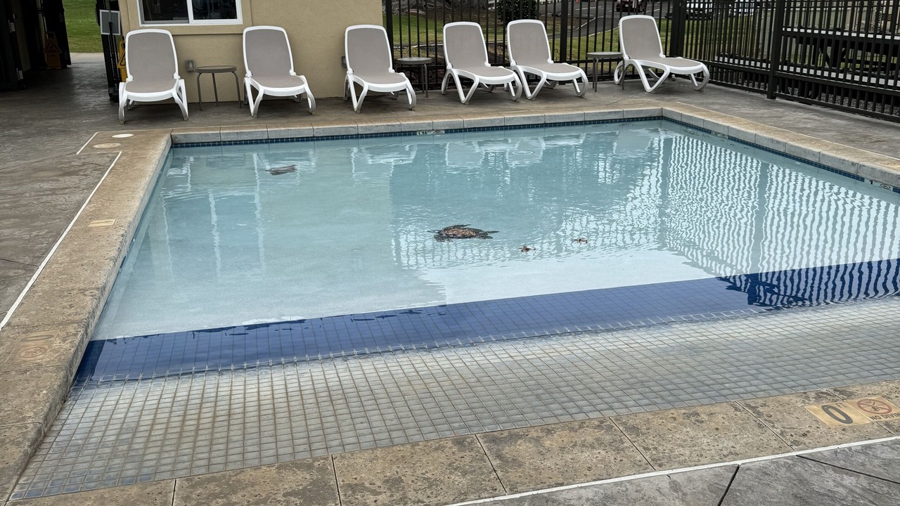 Photo of Outdoor in Waikoloa Village