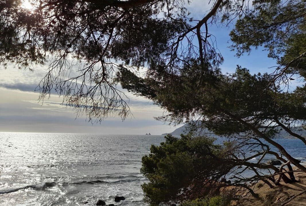 Photo of Others in Saint-Mandrier-sur-Mer