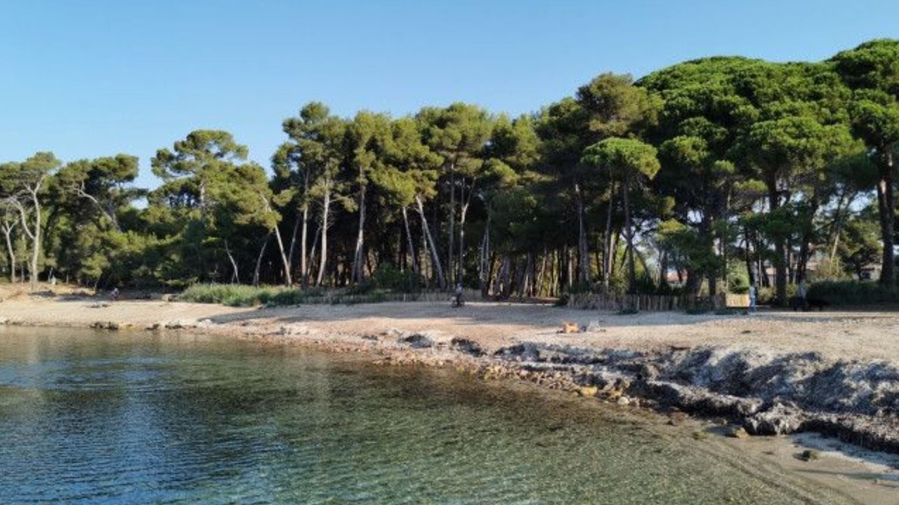 Photo of Others in Saint-Mandrier-sur-Mer