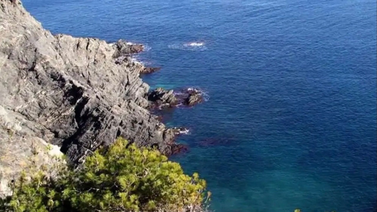 Photo of Others in Saint-Mandrier-sur-Mer