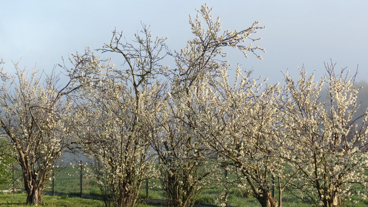 Photo of Others in Ligre