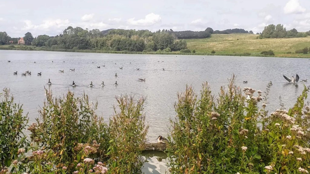 Photo of Others in Faaborg