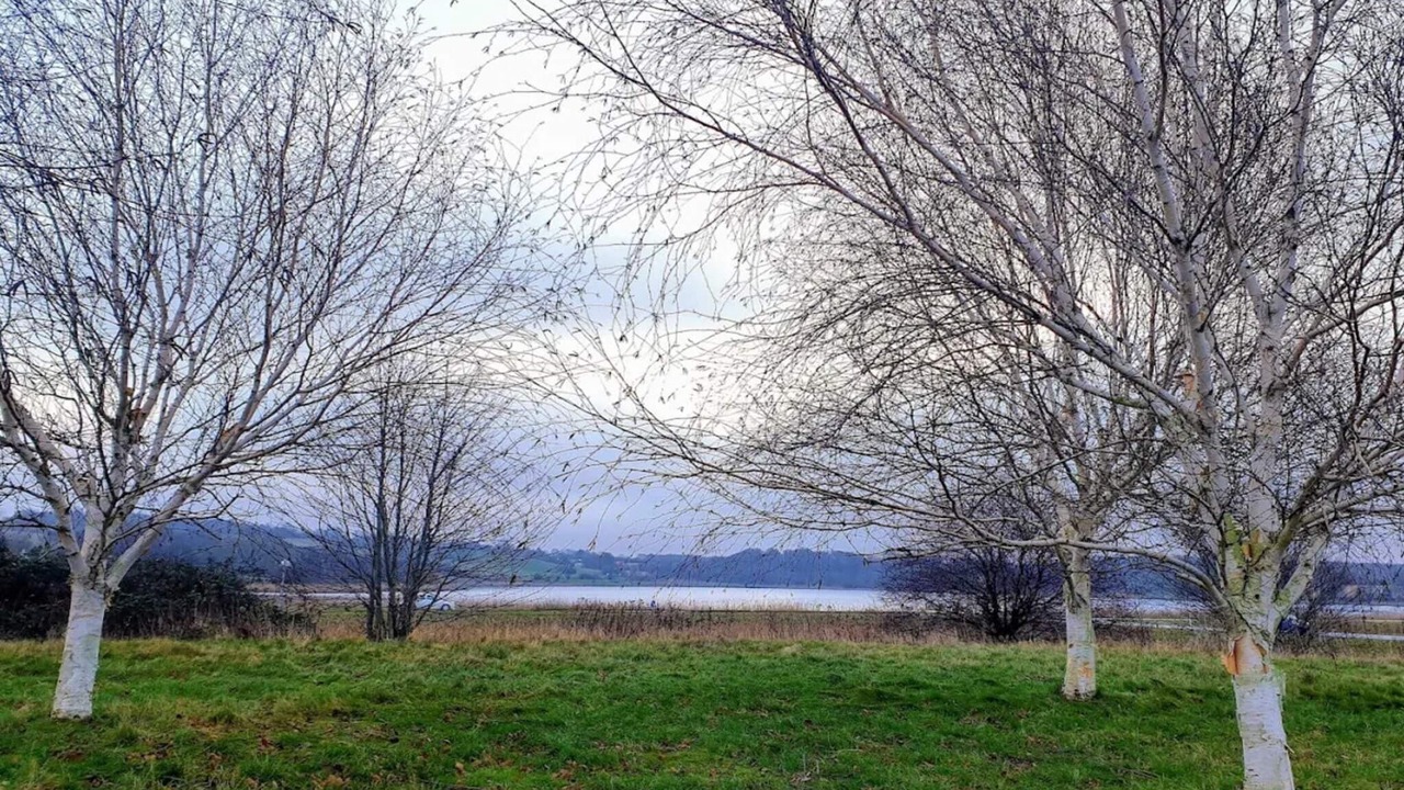 Photo of Others in Faaborg