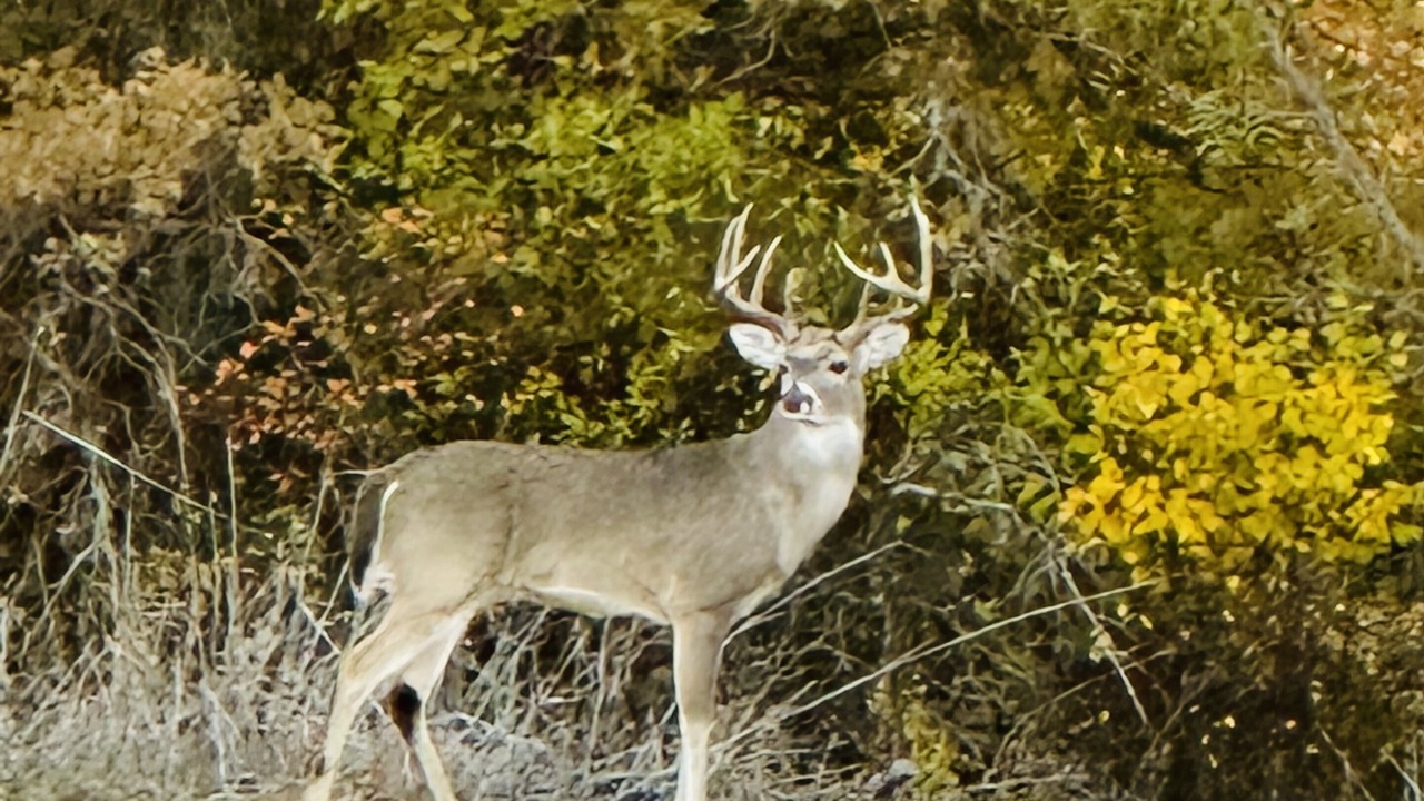 Photo of Outdoor in Eastland