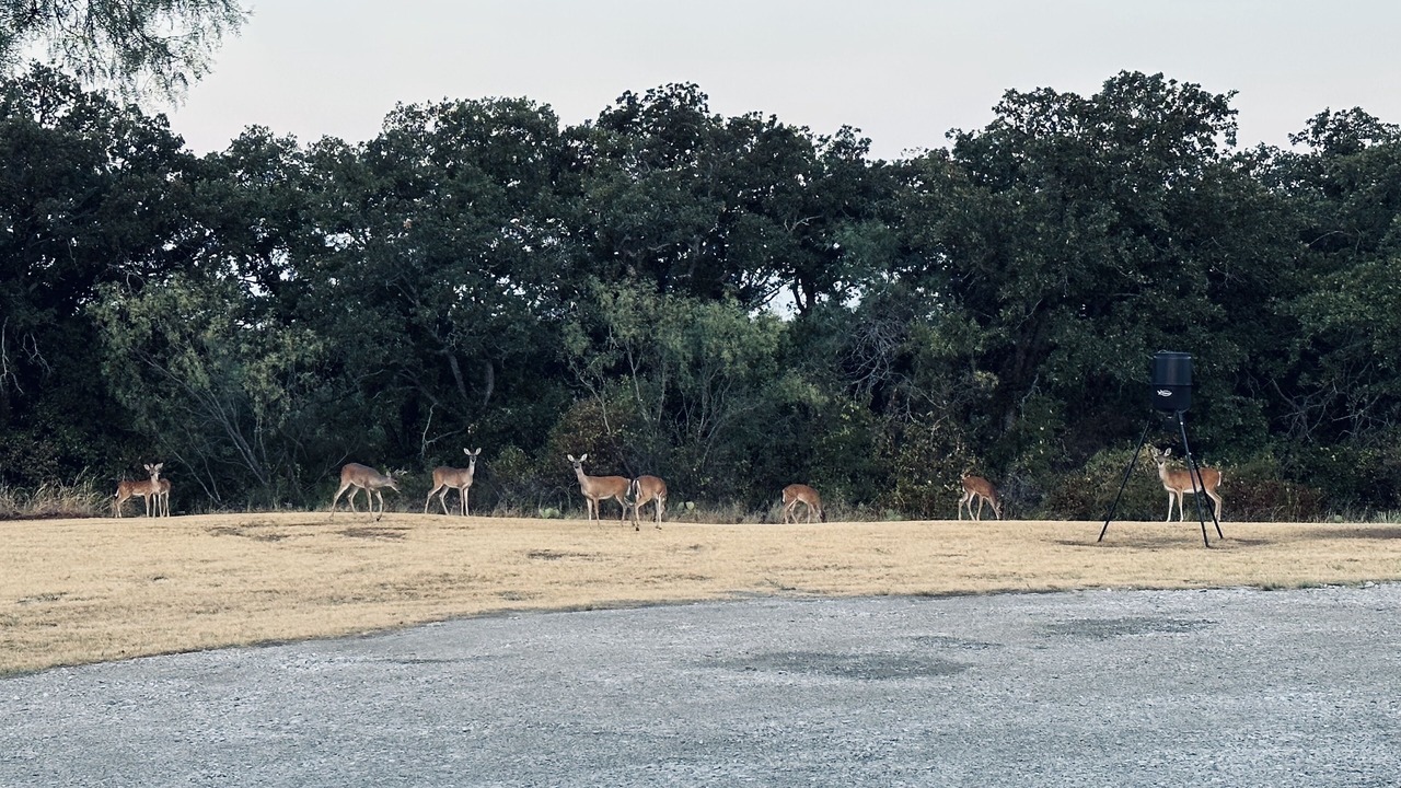 Photo of Others in Eastland
