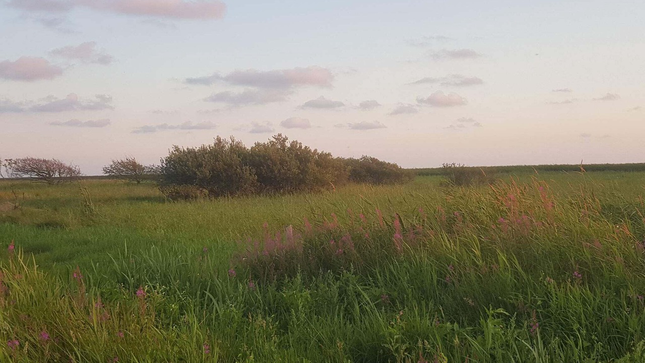 Photo of Others in Skjern