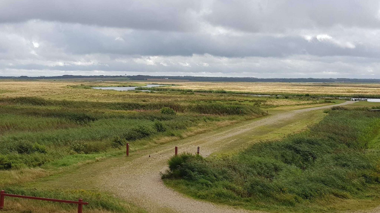 Photo of Others in Skjern