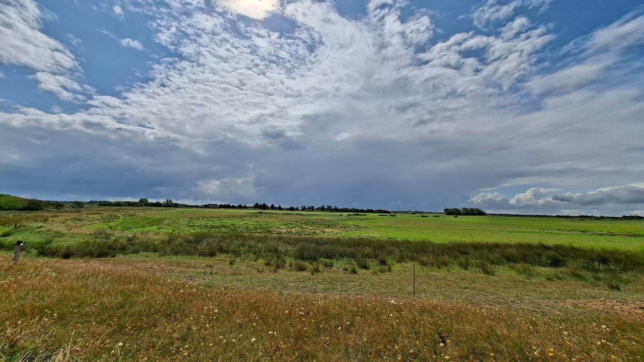 Photo of Others in Skjern
