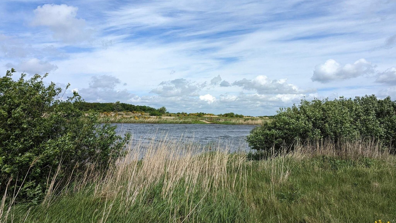 Photo of Others in Skjern