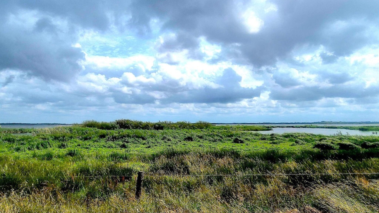 Photo of Others in Skjern