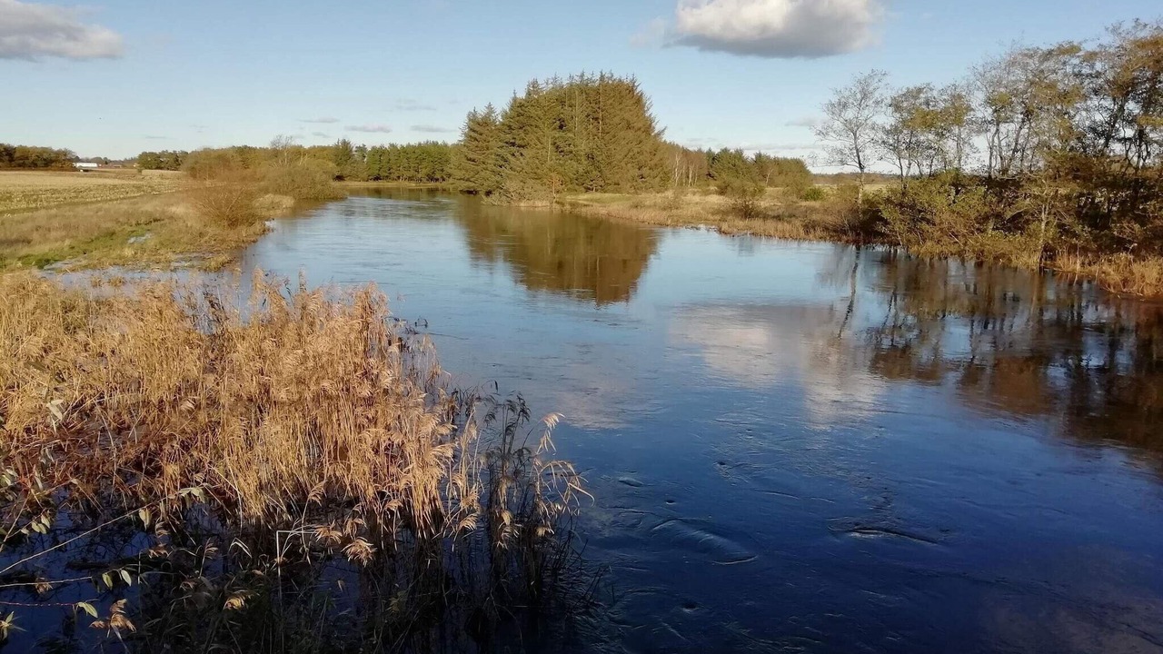 Photo of Others in Skjern