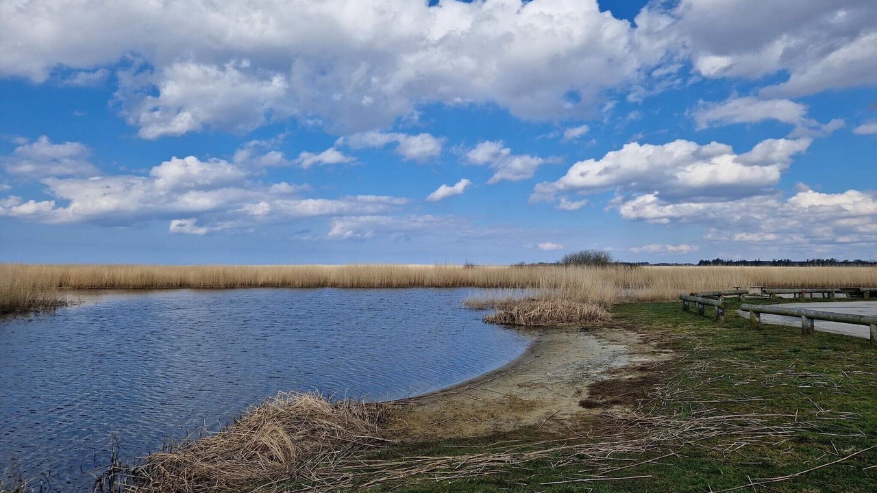 Photo of Others in Skjern