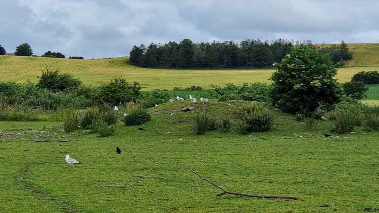 Photo of Others in Grevinge