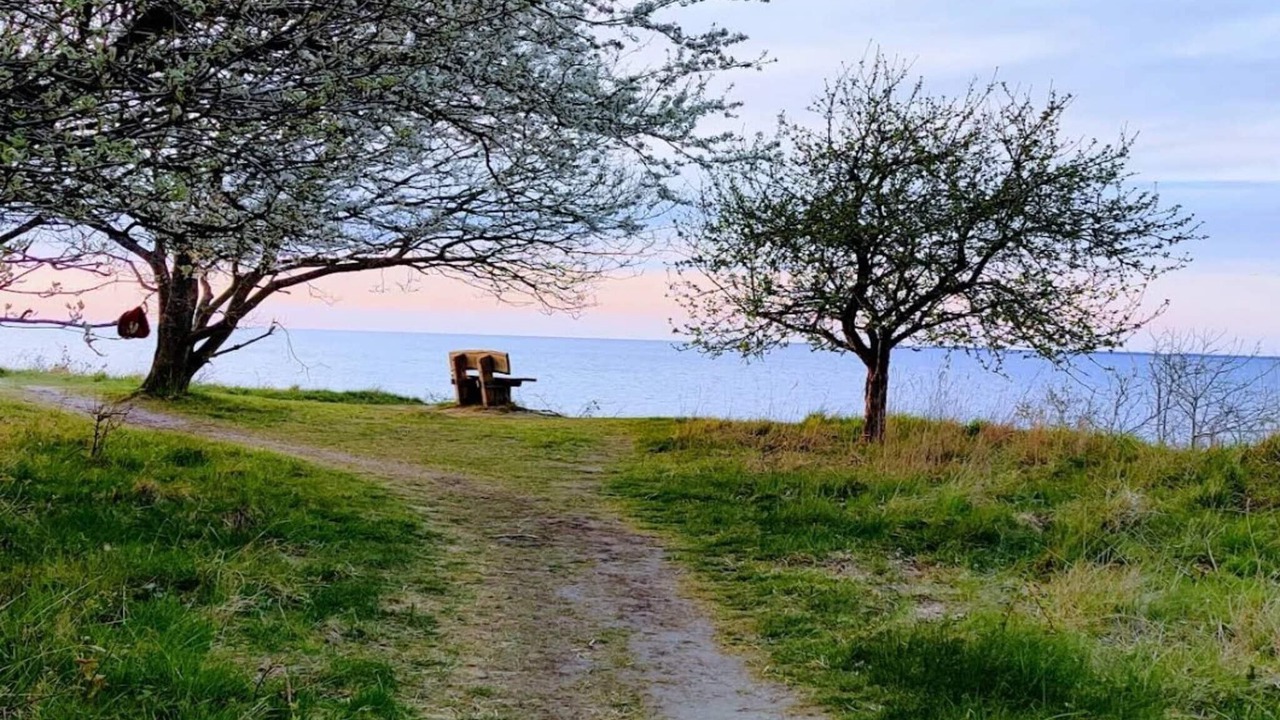Photo of Others in Grevinge