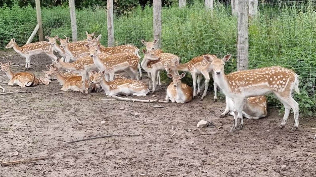 Photo of Others in Grevinge