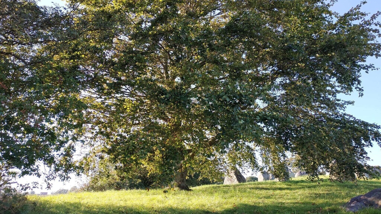Photo of Others in Grevinge