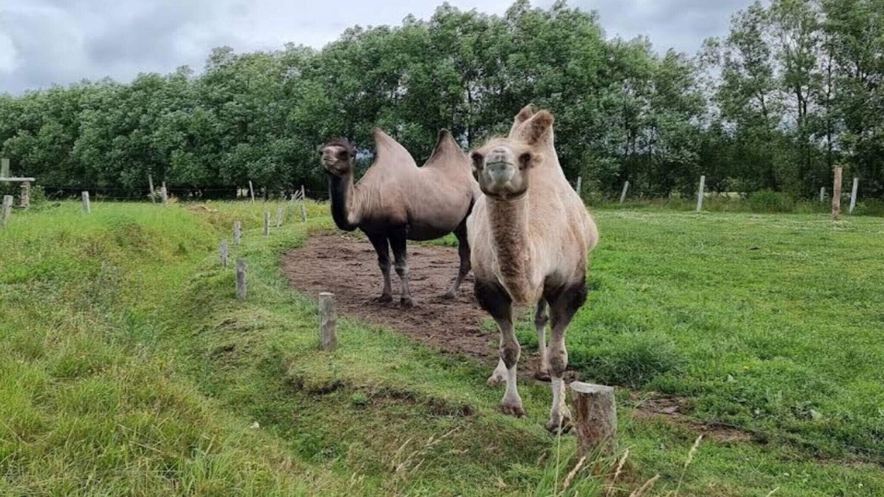Photo of Others in Grevinge