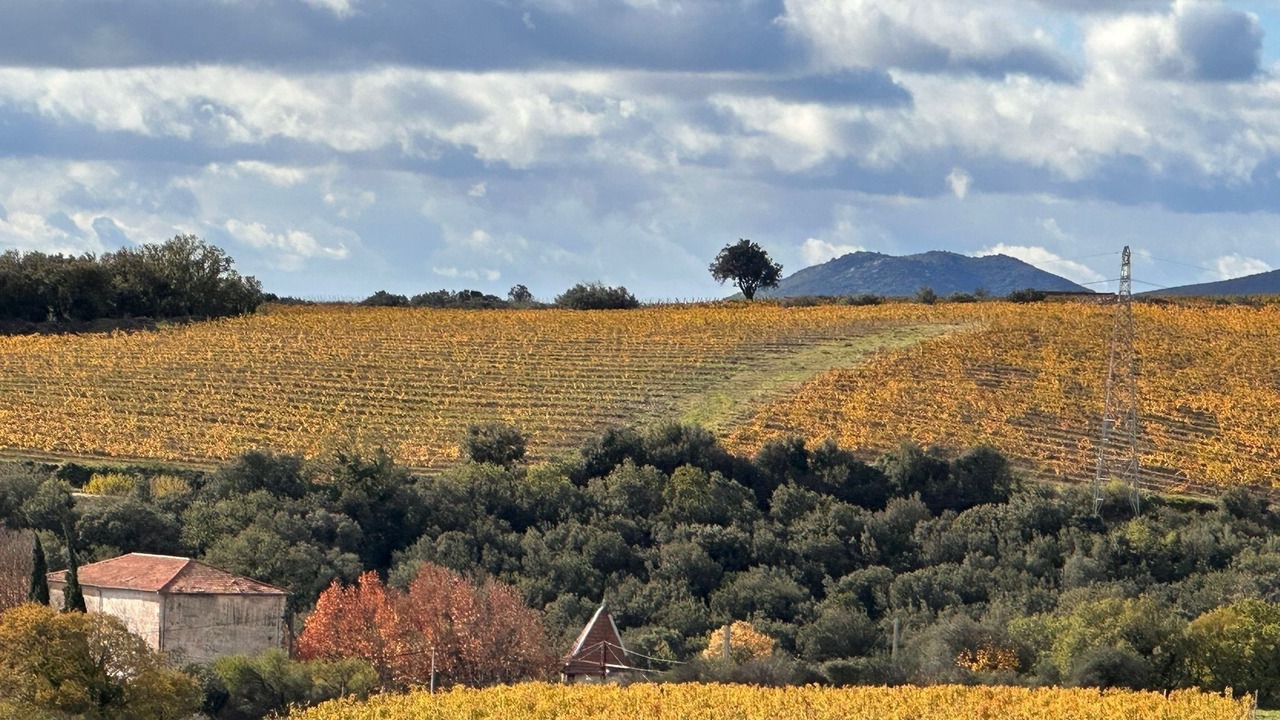 Photo of Outdoor in Faugeres