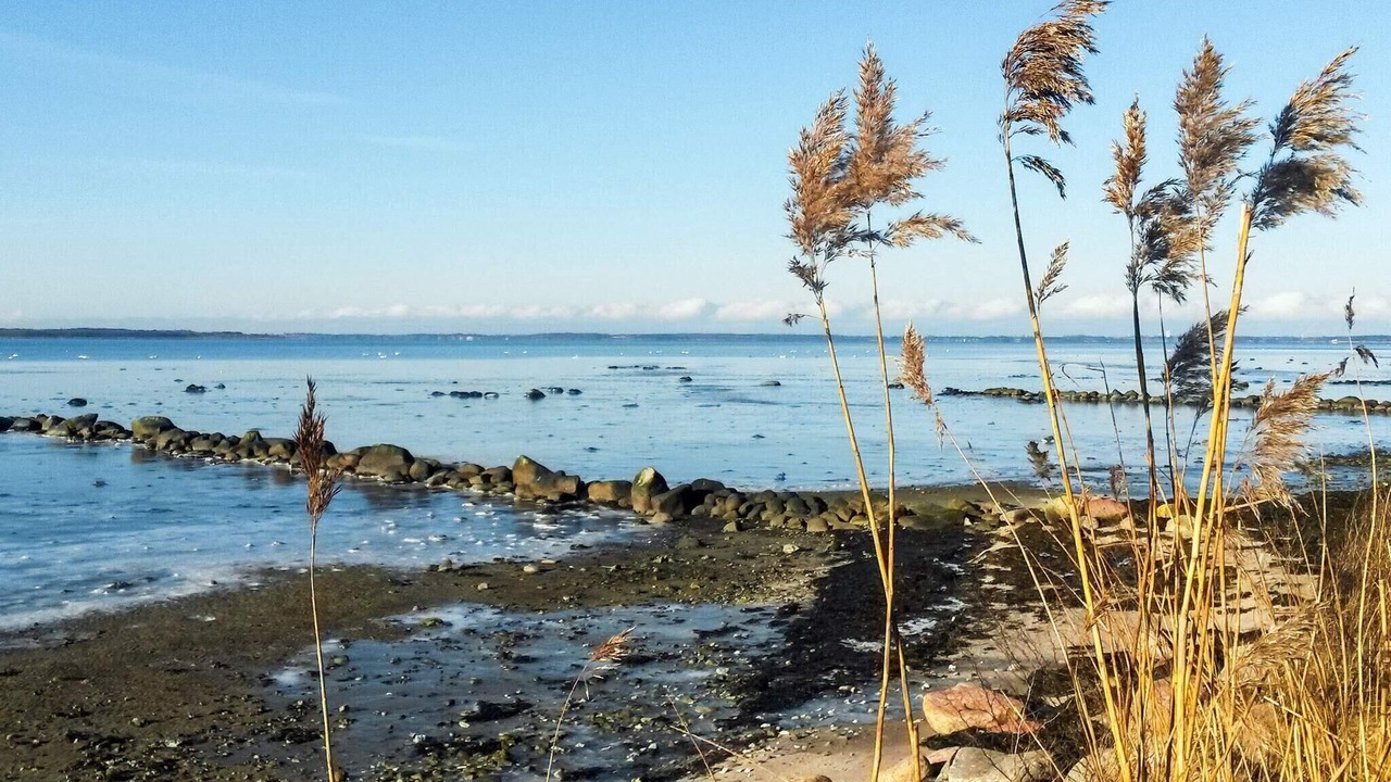 Photo of Others in Frederiksvaerk
