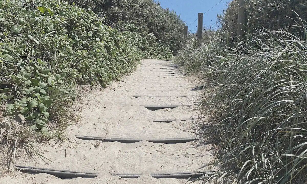 Photo of Others in Suffolk Park