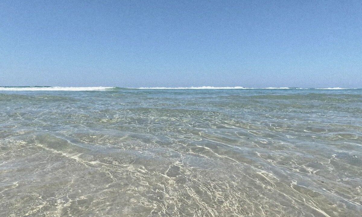 Photo of Others in Suffolk Park