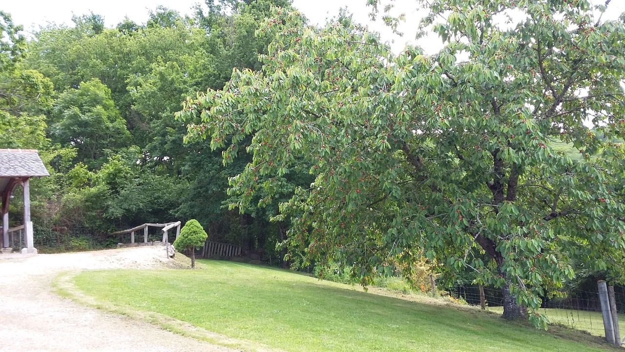 Photo of Outdoor in Maleville