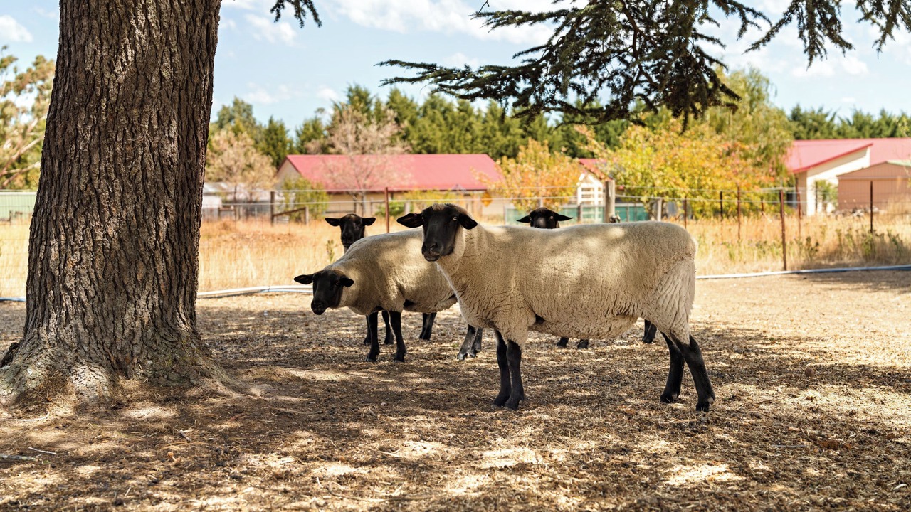 Photo of Others in Malmsbury