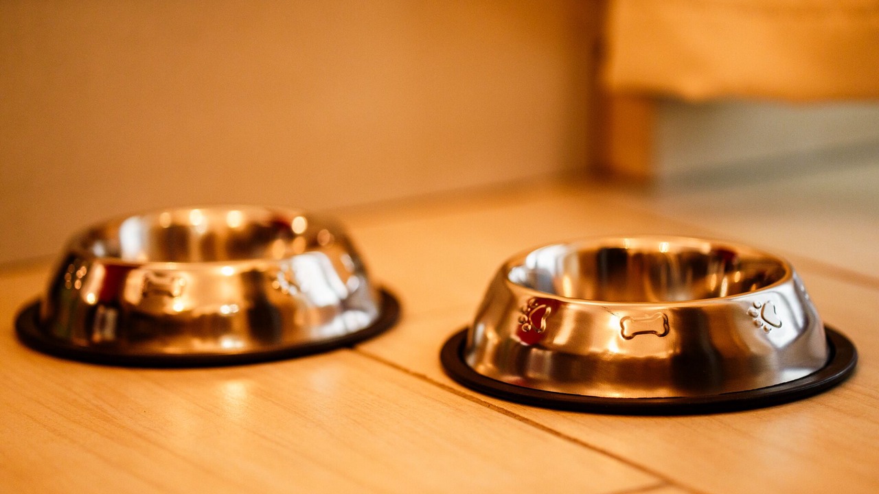 Photo of Bedroom in Rodemack