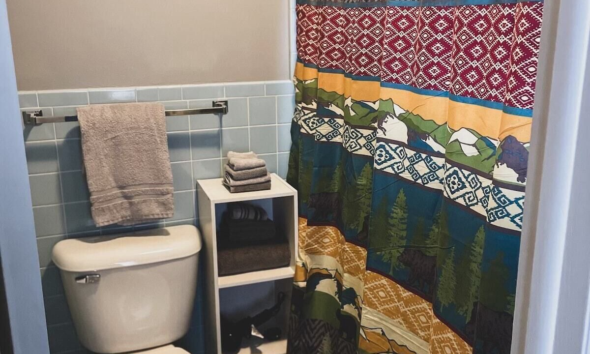 Photo of Bathroom in Eureka Springs Historic District