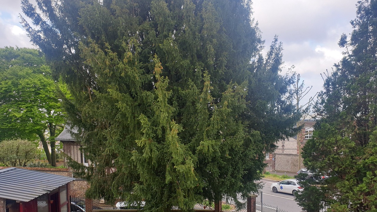 Photo of Others in Gare-Jouvenet