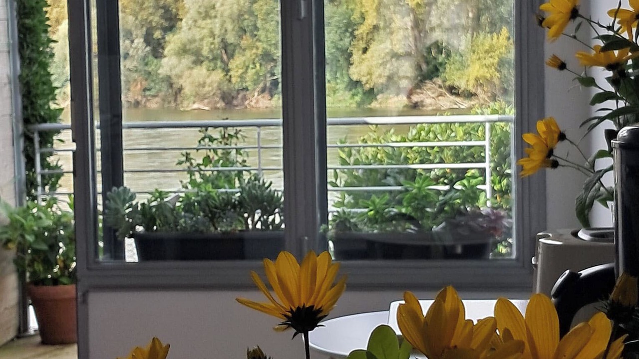 Photo of Others in Les Ponts-de-Ce