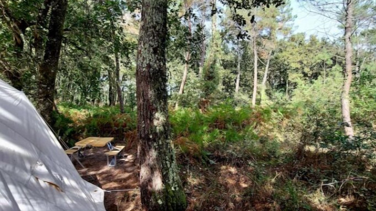 Photo of Outdoor in Arjuzanx
