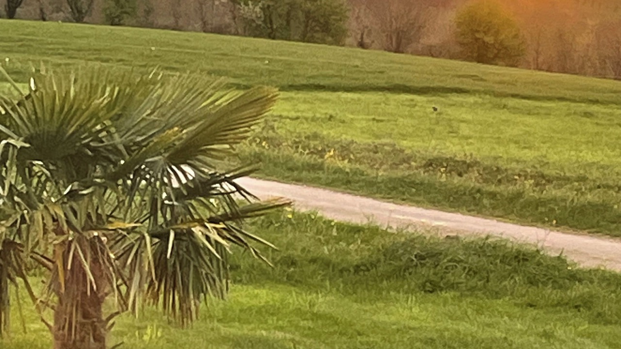 Photo of Others in Saint-Laurent-sur-Oust