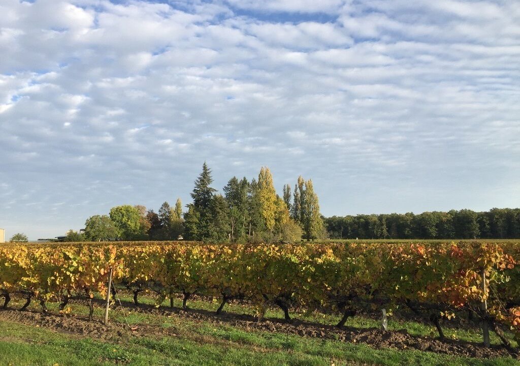 Photo of Outdoor in Cheverny