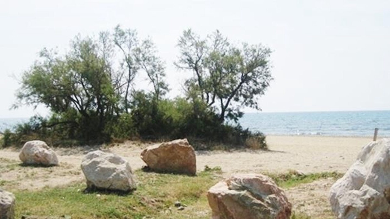 Photo of Others in Miami Platja