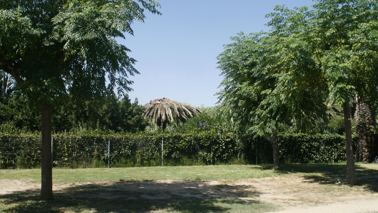 Photo of Outdoor in Miami Platja
