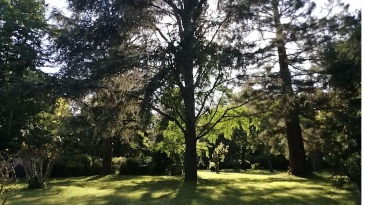 Photo of Others in Mirepoix-sur-Tarn