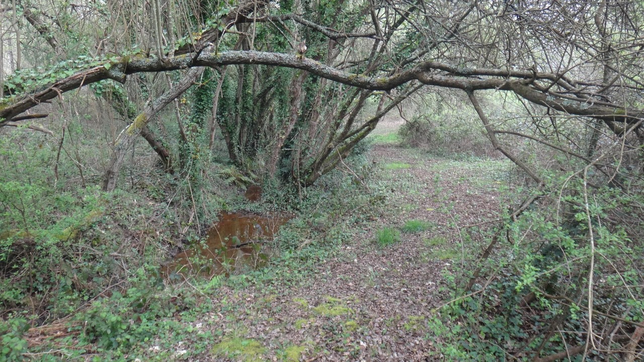 Photo of Outdoor in Penestin
