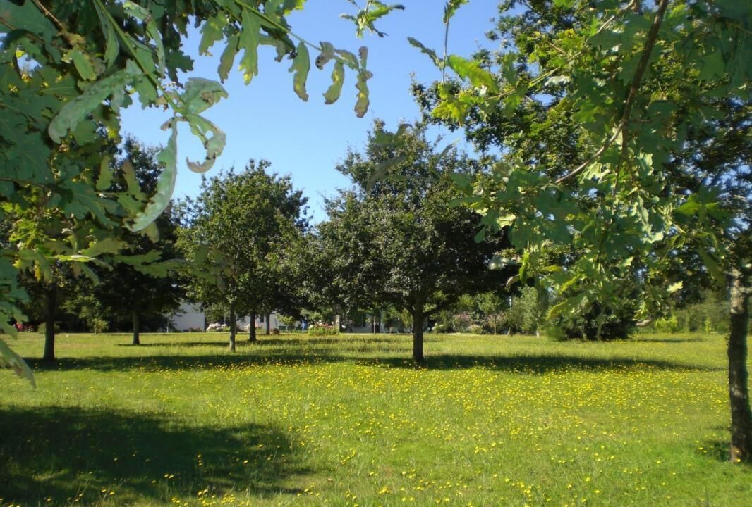 Photo of Outdoor in Penestin