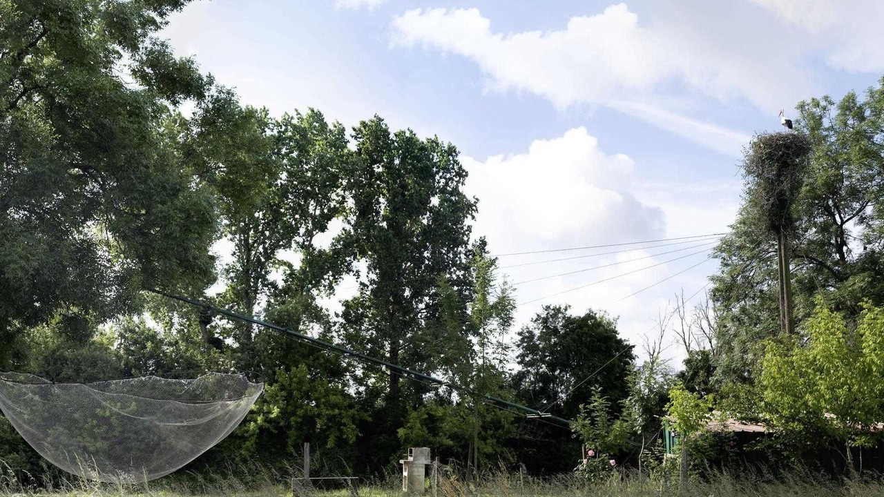 Photo of Others in Saint-Denis-de-Pile