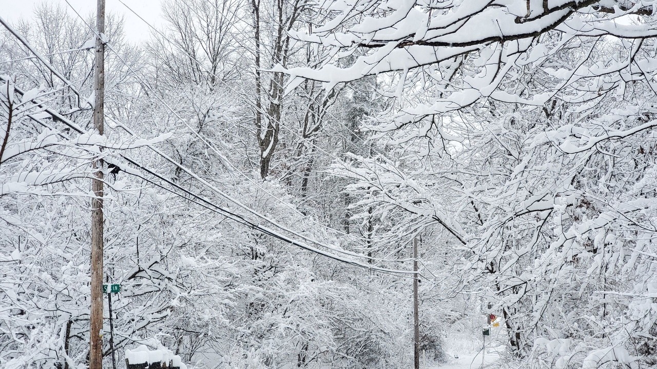 Photo of Others in East Stroudsburg