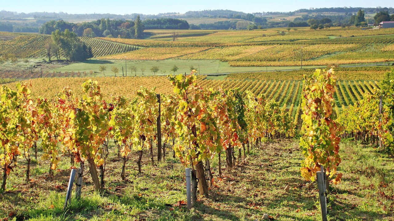 Photo of Others in Saint-Cibard