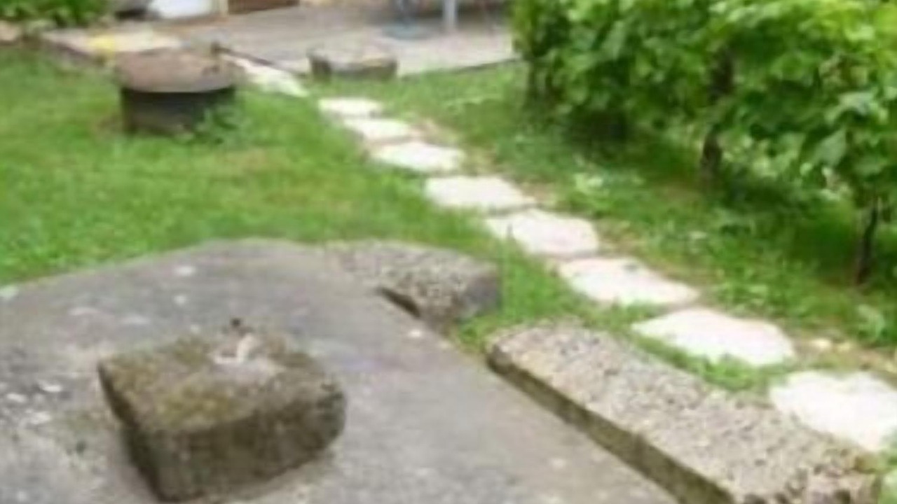 Photo of Outdoor in Brousse