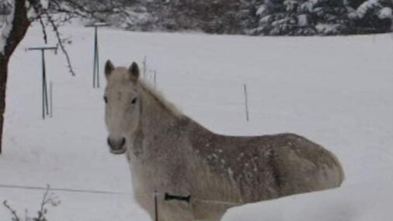 Photo of Others in Brousse