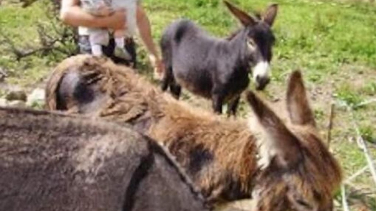Photo of Bathroom in Brousse