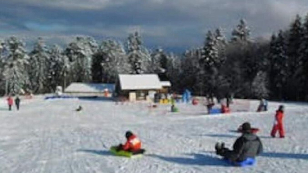 Photo of Others in Brousse