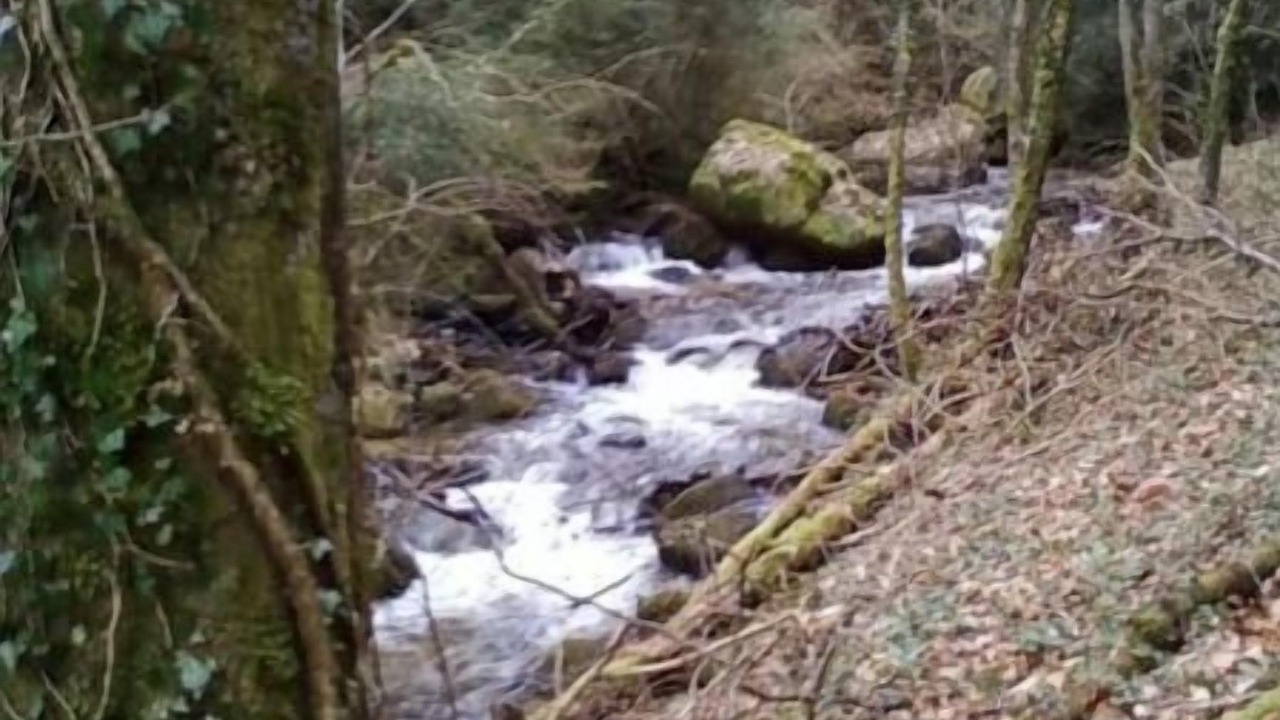 Photo of Others in Brousse