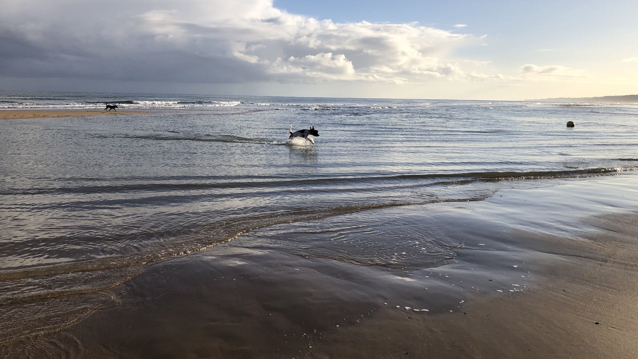 Photo of Others in Saint-Laurent-sur-Mer