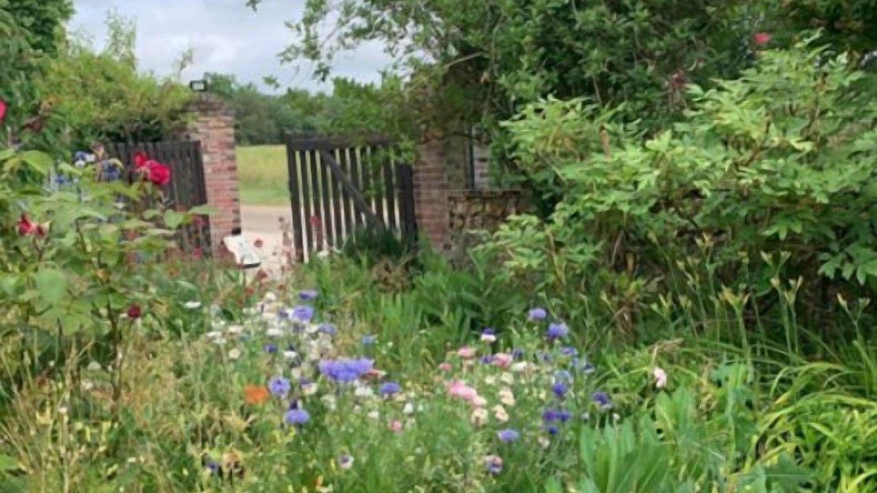 Photo of Outdoor in Saint-Martin-d'Ordon