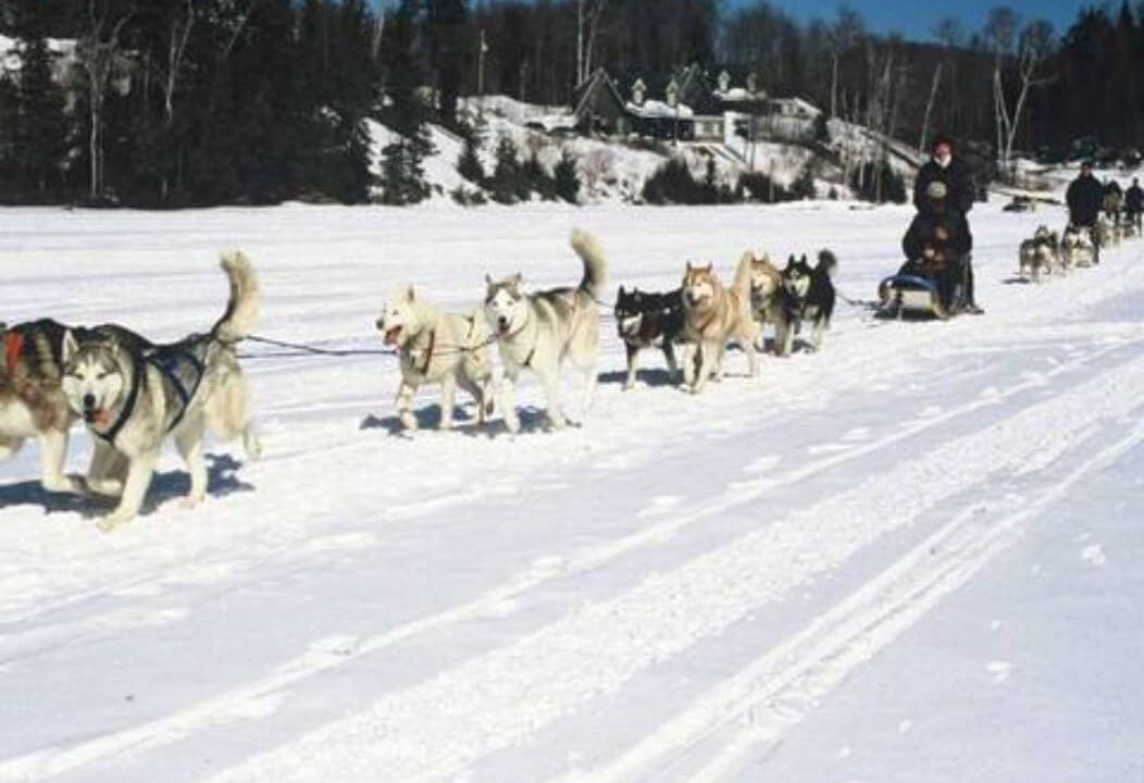 Photo of Others in Saint-Didace